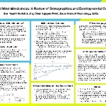 Maternal Mind-Mindedness: